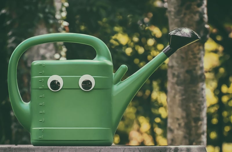Watering can